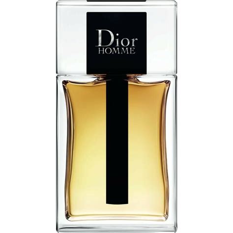 dior homme archive|Dior Homme 2020 edt.